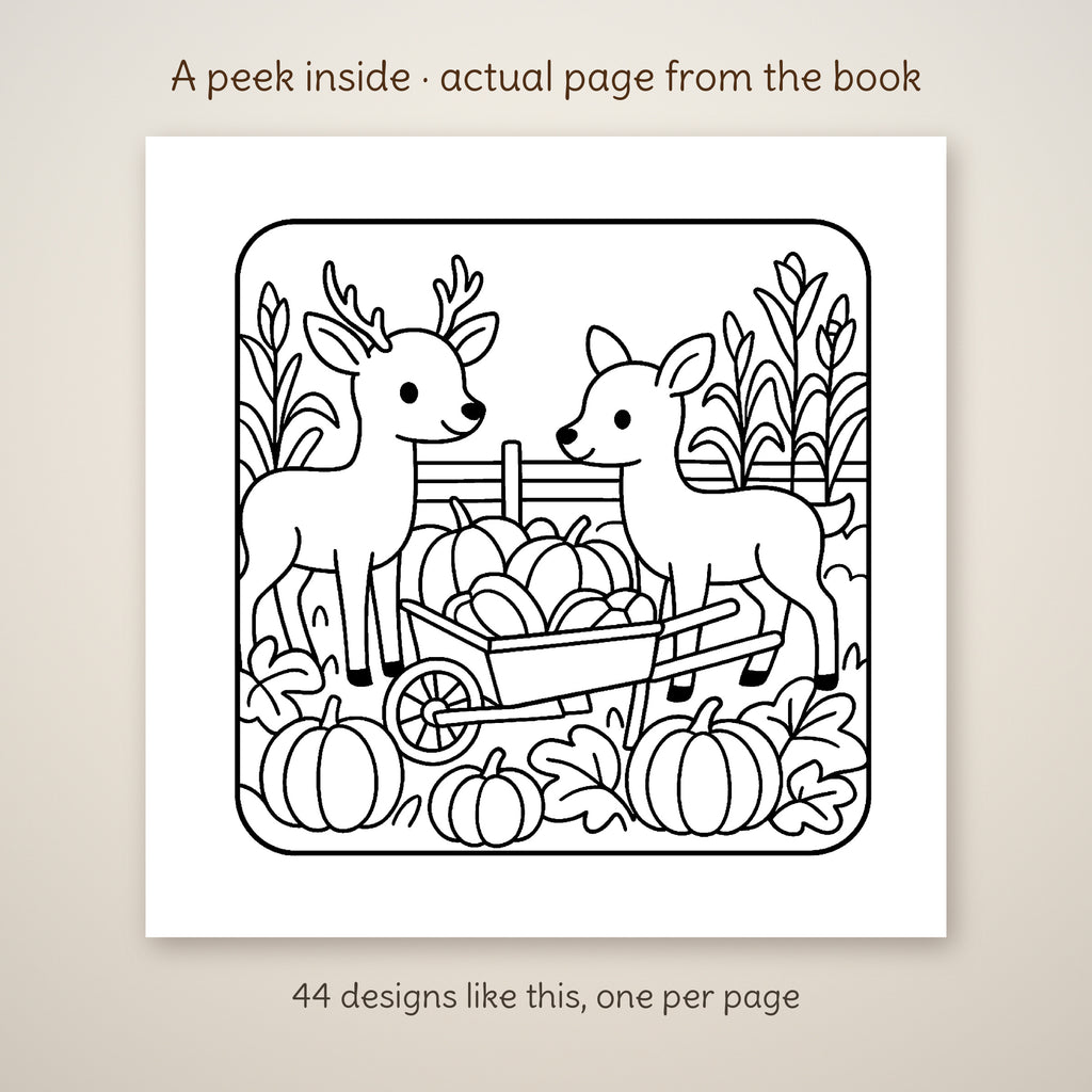 Cozy Woodland Creatures at Thanksgiving Coloring Book, photo 5
