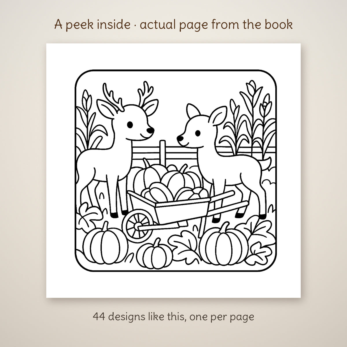 Cozy Woodland Creatures at Thanksgiving Coloring Book, photo 5