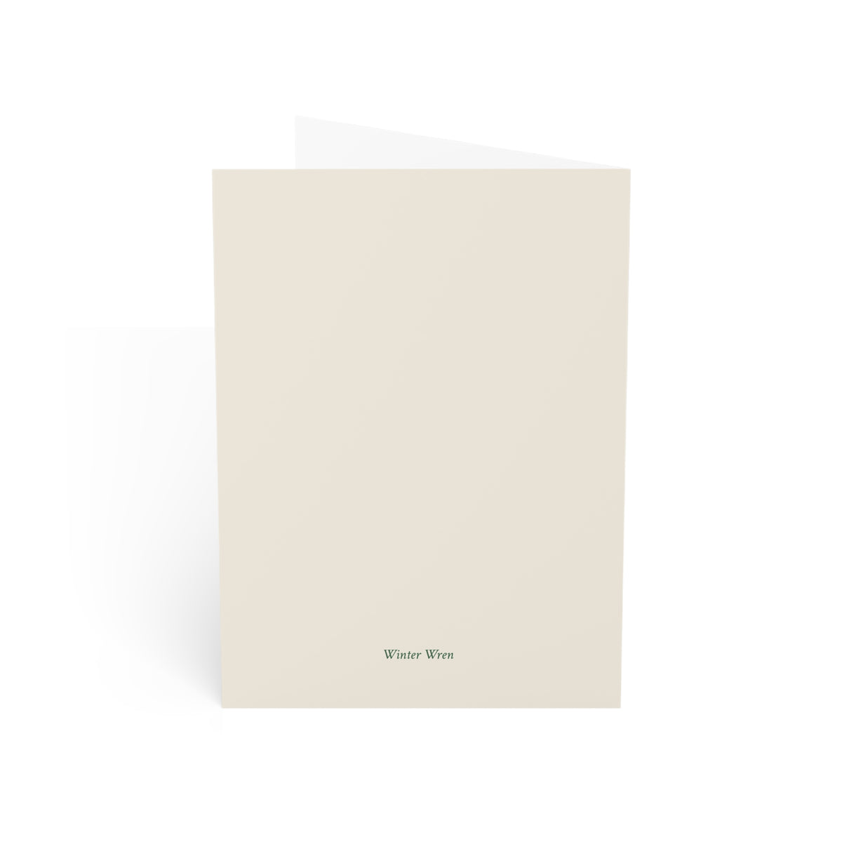 Dachshund Through the Snow Christmas Folded Cards, Pack of 10