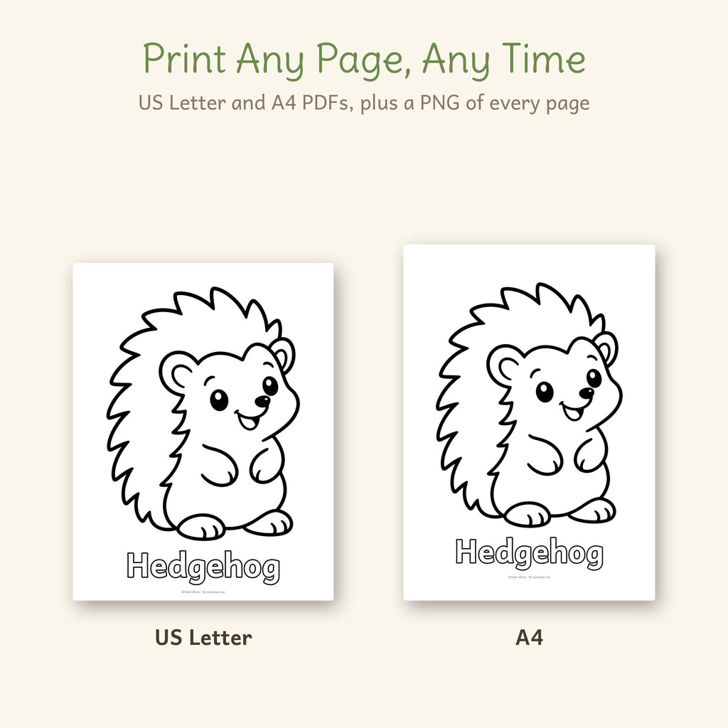 Woodland Animals Toddler Coloring Pages, photo 4